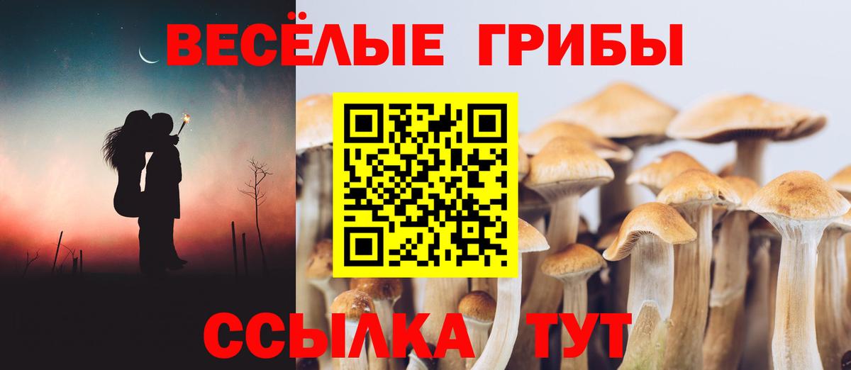 Псилоцибиновые грибы мицелий Ахтубинск